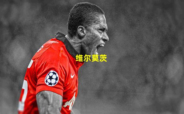 维尔莫茨