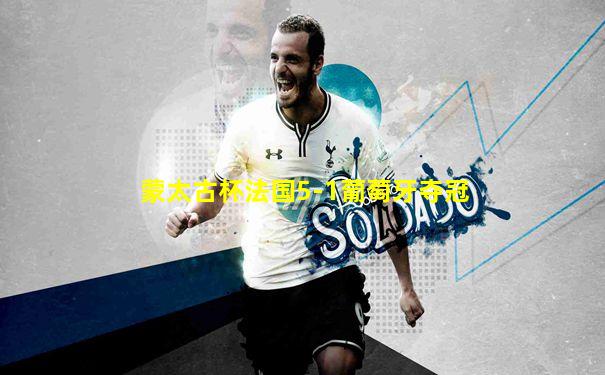 蒙太古杯法国5-1葡萄牙夺冠